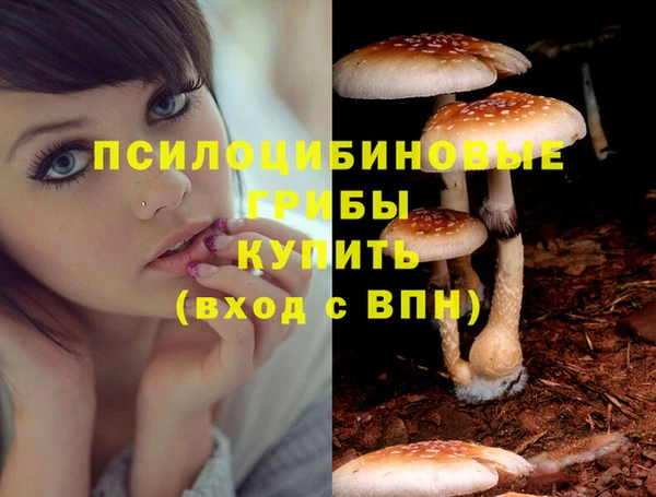 не бодяженный Дмитровск