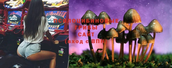не бодяженный Дмитровск