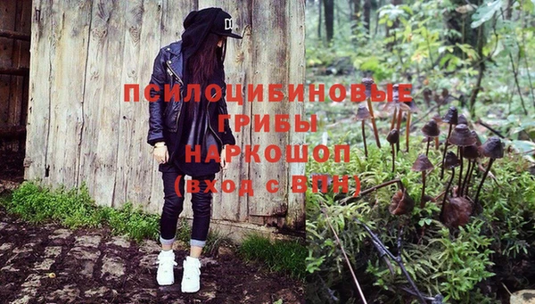не бодяженный Дмитровск