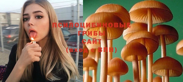 кокс Ельня