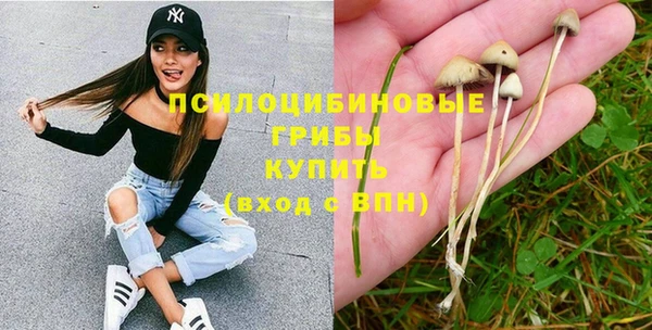 не бодяженный Дмитровск