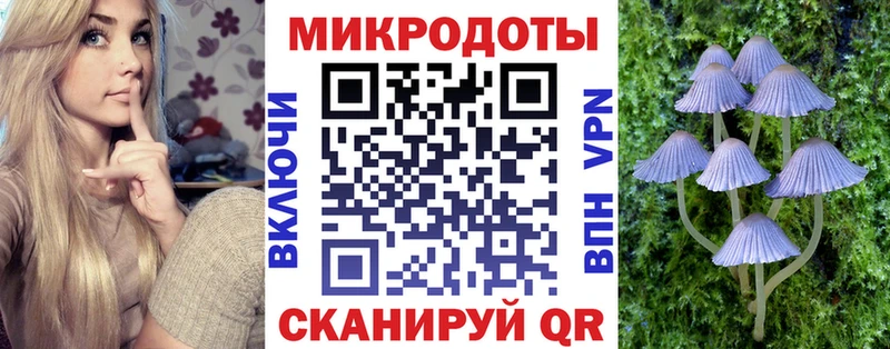 Купить где  Нарткала  Псилоцибиновые грибы Cubensis 